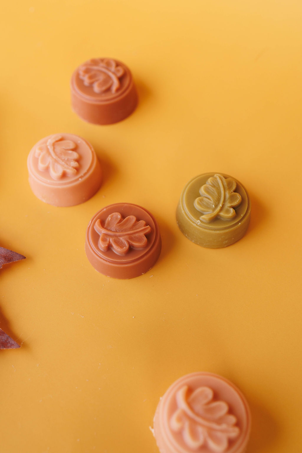 Fallen Leaves Wax Melts
